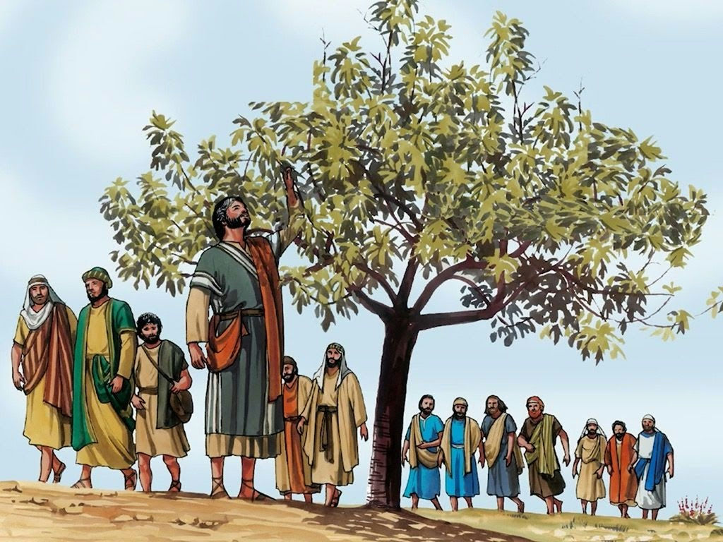 Was Point When Cursed The Fig Tree? - Faith is the Evidence